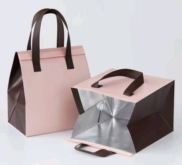 時尚簡約保冷提袋(可裝6粒*2包)